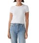 Women's Basic Cropped Tee - Crew Neck, Short Sleeve